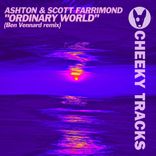 Ordinary World
