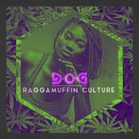 Portada para "Raggamuffin Culture"