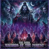 Artwork for "The Dark Wizards of The Forest"