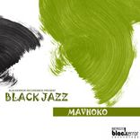 Artwork for "Mavhoko"