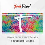 Artwork for "Sounds Like Madness"