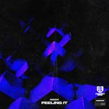 Artwork for "Feeling It"
