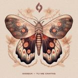 Artwork for "Tu Me Cantas"