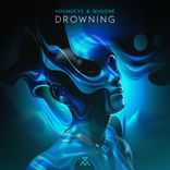 Portada para "Drowning"