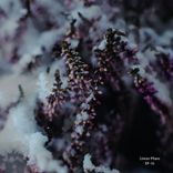 Artwork voor "SP-16"