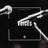 Artwork for "Voices"