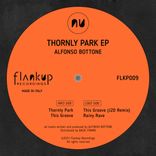 Artwork voor "Thornly Park EP"