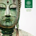 Artwork for "Blended"