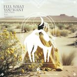 Artwork for "Feel What You Want"