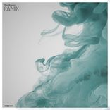 Artwork for "Panik"