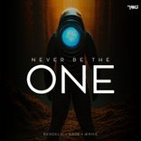 Artwork for "Never Be The One"