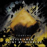 Paint by Numbers (Extended Mix)