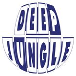 Artwork for "Crystlize '94"