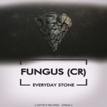 Artwork voor "Everyday Stone"