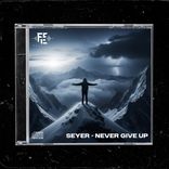 Artwork for "Never Give up"