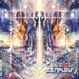 Psychedelic Experience