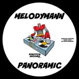 Portada para "Panoramic"