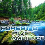 White Noise of Forest & River