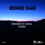 Portada para "Magnetic Soul"