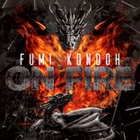 Artwork voor "On Fire"