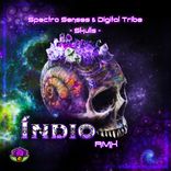 Artwork for "Spectro Senses & Digital Tribe - Skulls (Indio Rmx)"