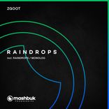 Portada para "Raindrops"