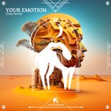 Artwork for "Your Emotion"