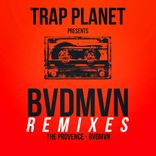 Artwork voor "BVDMVN"