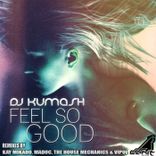 Artwork voor "Feel So Good Remixes"