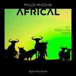 Artwork voor "Africal"