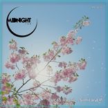 Artwork for "Similar EP"