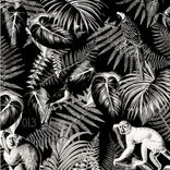 Artwork for "Los Hechiceros"