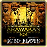 Artwork für "Igbo Flute"