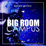 Artwork for "Big Room Campus, Vol. 4"