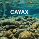 Artwork voor "Cayax"