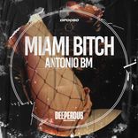 Artwork for "Miami Bitch"