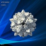 Artwork for "Flowers"