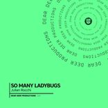 Portada para "So Many Ladybugs"