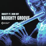 Portada para "Naughty Groove"