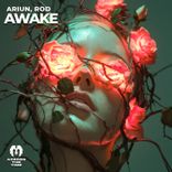 Artwork für "Awake"