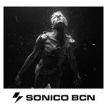 Artwork voor "Brezmejno"