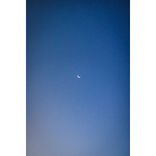 Artwork voor "Fraud"