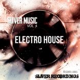 Artwork for "Sliver Music: Electro House, Vol.4"
