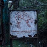 Artwork für "Endless September"