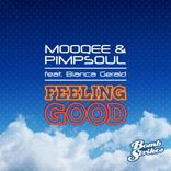 Artwork voor "Feeling Good"