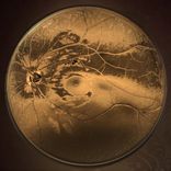 Artwork for "Who Are You"