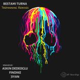 Artwork voor "Trepanning Remixes"