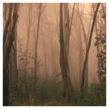 Portada para "Smoke"