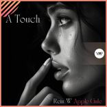 Artwork voor "A Touch"