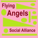 Portada para "Flying Angels"